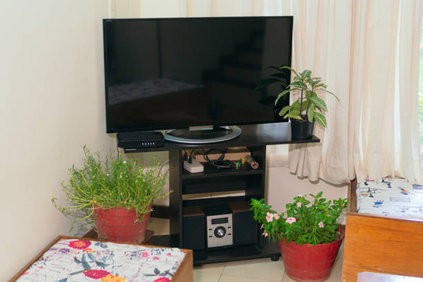 istock Authentic and natural Urban Jungle decoration in the home environment. 1351160817