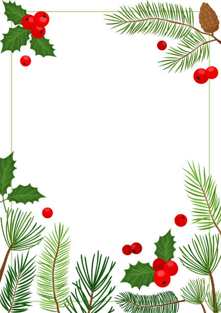 ilustrações, clipart, desenhos animados e ícones de pinheiro de fronteira de natal, abeto e cone, fronteira de frutas, moldura sempre verde. vetor de férias - pine tree evergreen tree backgrounds needle