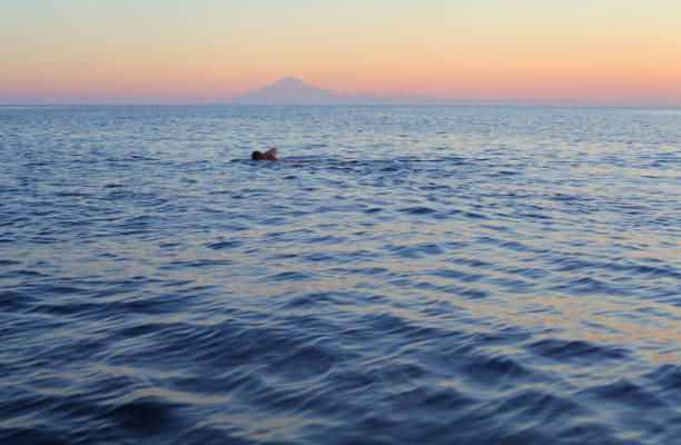 istock Samothrace island in distance, Greece 1351165372