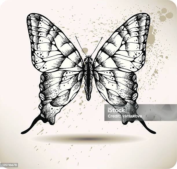 Butterfly Ręka Drawing Wektor - Stockowe grafiki wektorowe i więcej obrazów Czarny kolor - Czarny kolor, Ilustracja, Motyl
