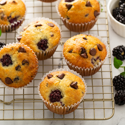 Blackberry and chocolate chip muffins on a cooling rack, summer berry recipe