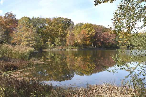 istock Herrick Lake in Autumn 1351168821