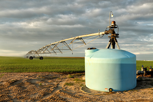 A center pivot sprinkler with attached fertigation tank,  watering a wheat field, in the fertile farm fields of Idaho.