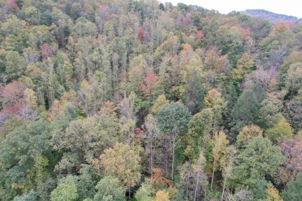 istock Drone view Autumn Appalachians 1351170303