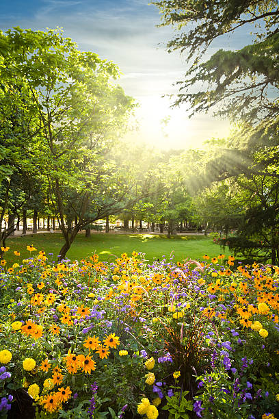 istock Parterre plenty of flowers rounded by trees 135117035