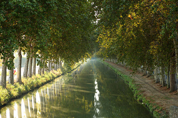 istock Canal du Midi, France 135117123