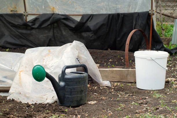 Garden watering can and bucket for watering plants.