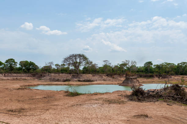 istock Dry lake bed during drought in central brazil 1351176177