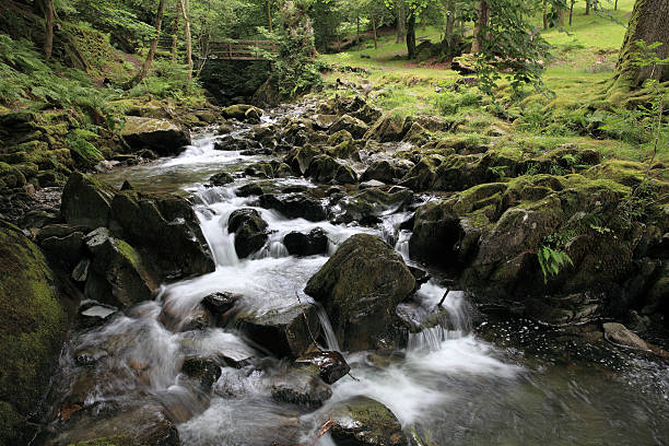 istock Lake District stream and bridge, England 135117845