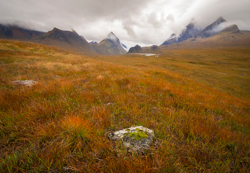 View of tundra landscape with mountains and fjord
