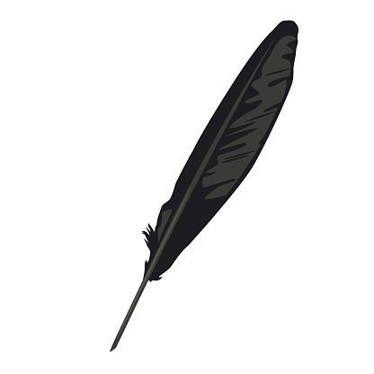 Raven`s feather.