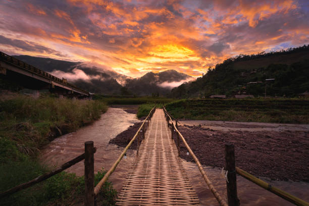 Beautiful landscape scenic of the wooden bamboo bridge with the fog and dramatic sky background in sunset time at Sapun in Nan province, Northern of Thailand. Beautiful landscape scenic of the wooden bamboo bridge with the fog and dramatic sky background in sunset time at Sapun in Nan province, Northern of Thailand. bamboo bridge stock pictures, royalty-free photos & images