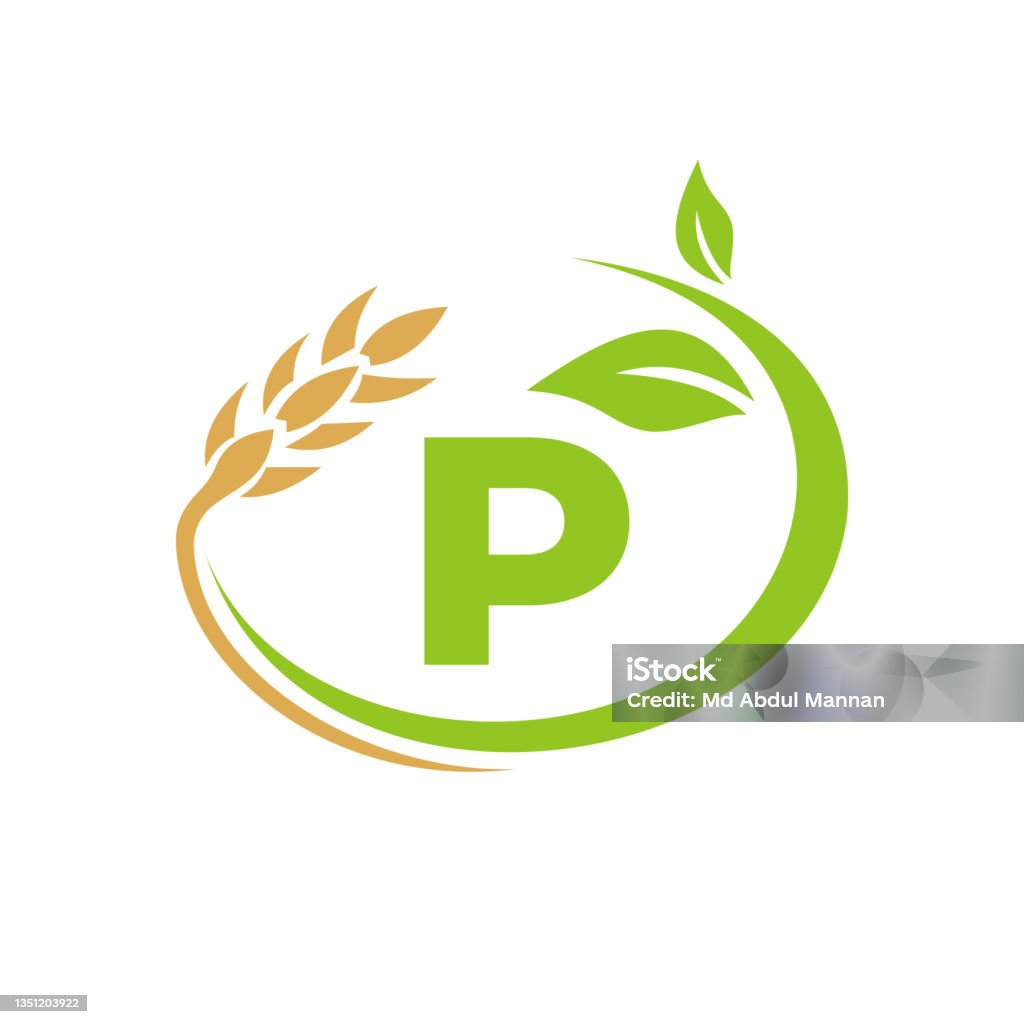 Agriculture Logo On P Letter Concept Agriculture And Farming Logo ...