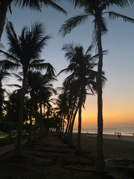istock Sunset at beach in Oman 1351204715