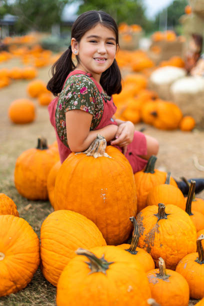 kubanisches kleines mädchenporträt zwischen dutzenden von kürbissen - pumpkin child little girls pumpkin patch stock-fotos und bilder