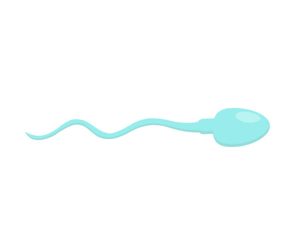 1,081 Sperm Cartoon Stock Photos, Pictures & Royalty-Free Images - iStock