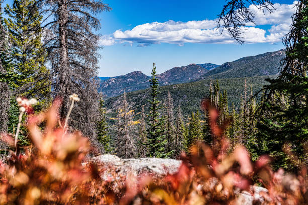 istock Rocky Mountain National Park Landscape 1351212172