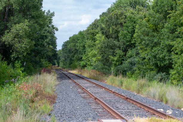 istock Horizon view of train tracks in a rural setting 1351212299