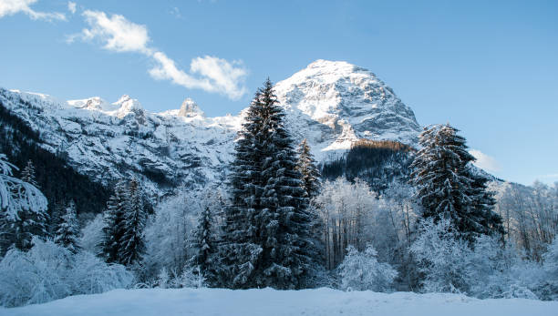 istock Cold and snow in the high mountains 1351213391