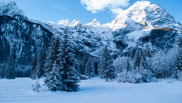 istock winter came with snow and cold 1351213396