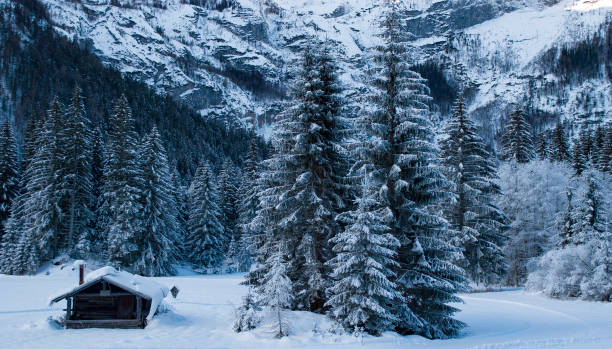 istock Santa's hut in the forest among the mountains 1351213421