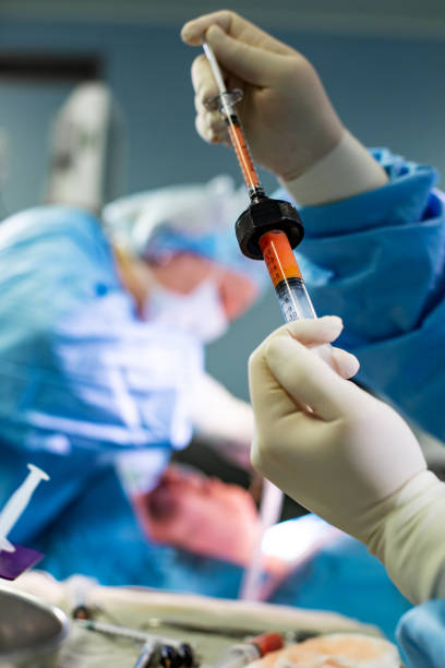 istock Hands Holding Syringe and Transfer Fat with Nano Fat Transfer Tool in Operation Room 1351216438