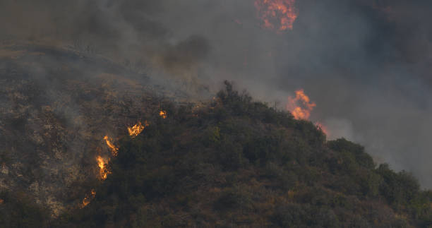 istock Woolsey Fire, Malibu California  fire Burnt Mountains 1351217825