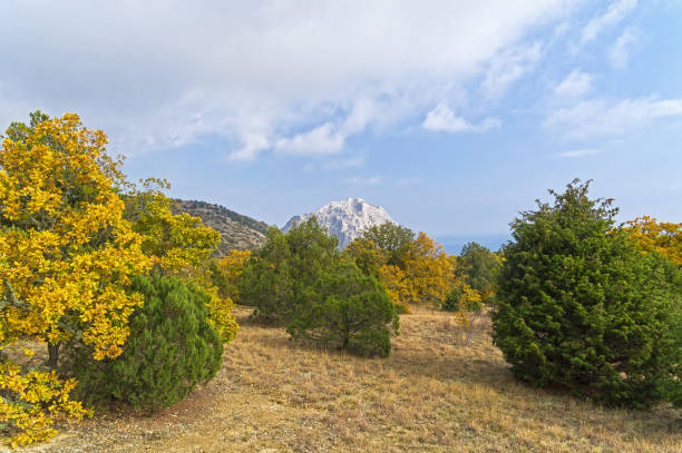 Autumn in the Crimean Mountain Forest. The neighborhood of the resort village of Novyy Svet. Sunny day in October.