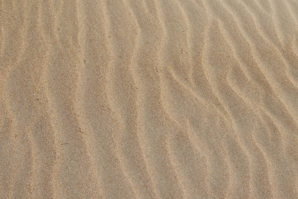 istock Sand texture. Sandy beach for background. Top view. Natural sand stone texture background. sand on the beach as background. Wavy sand background for summer designs. 1351220612