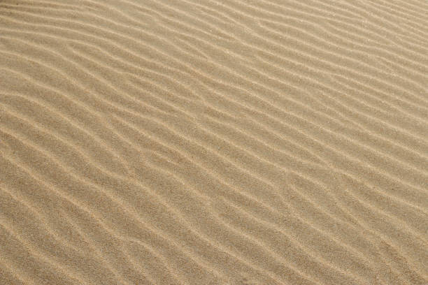 istock Sand texture. Sandy beach for background. Top view. Natural sand stone texture background. sand on the beach as background. Wavy sand background for summer designs. 1351220613