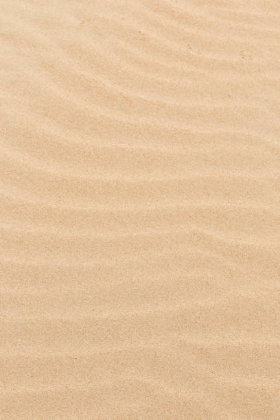 istock Sand texture. Sandy beach for background. Top view. Natural sand stone texture background. sand on the beach as background. Wavy sand background for summer designs. 1351220615