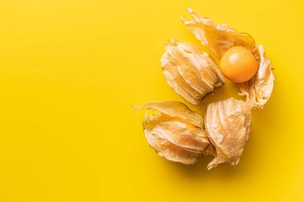istock Physalis peruviana. Cape Gooseberry or ground cherries fruit. 1351221818