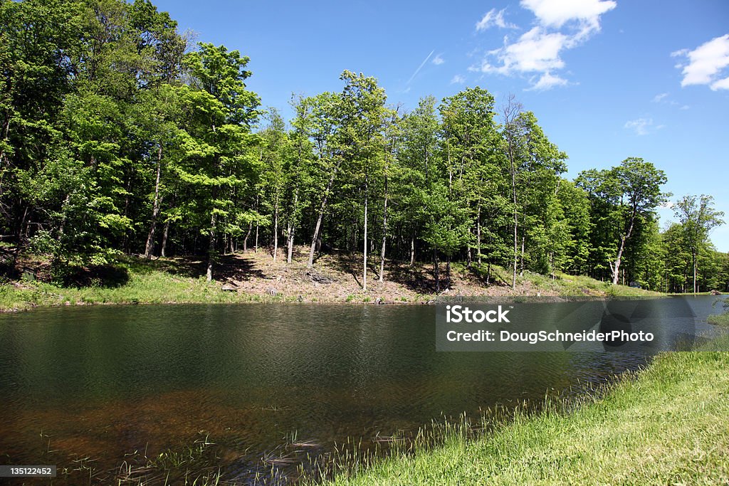 Pequeno Scenic Pond - Royalty-free Ao Ar Livre Foto de stock