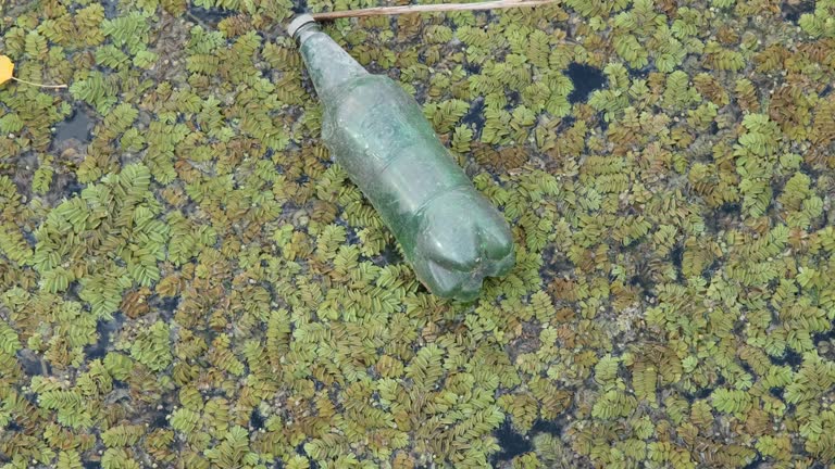 Plastic bottles swims on Floating Watermoss (Salvinia natans) in the coastal area in the delta Danube river. Plastic pollution.