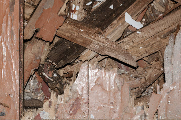 istock A hole in the old wooden floor. Rotten, broken boards. View from 1351226046