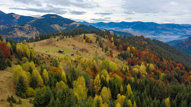 istock Autumn in mountain, amazing landscape 1351229611