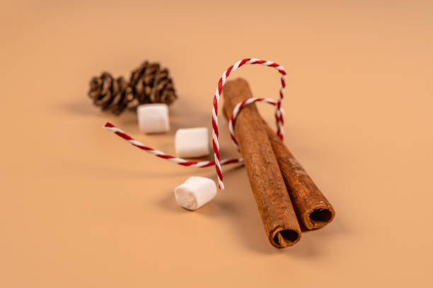 Cinnamon sticks in a Christmas ribbon and marshmallows on a beige background. Minimalistic concept of Christmas and New Year.