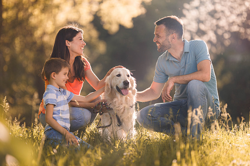 Happy family and their golden retriever spending a spring day in the park.