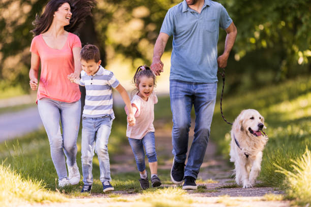 istock Happy family having fun with their retriever in the park. 1351237498