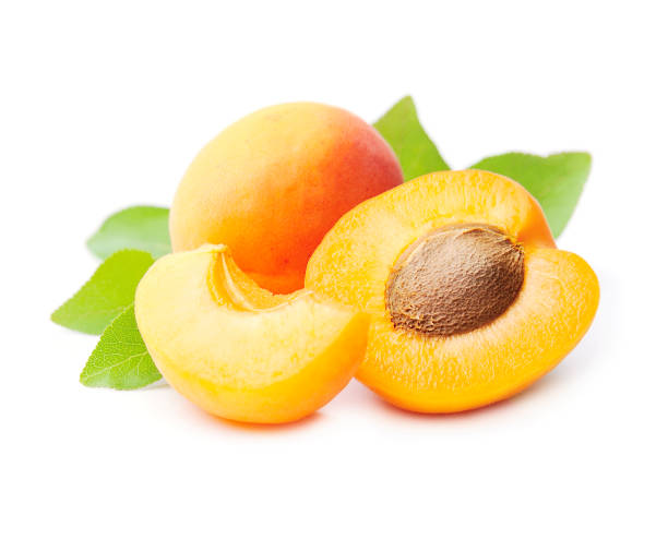 istock Sweet apricots 1351239344