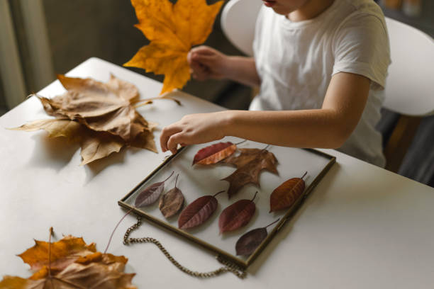 istock The boy makes a composition with leaves in a glass frame while sitting at home in the kitchen. Happy childhood concept. 1351239421