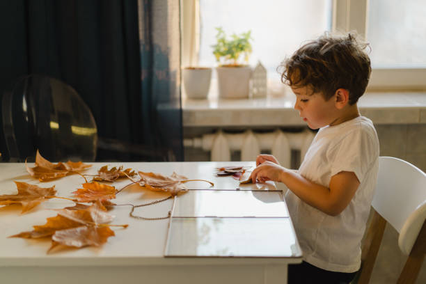 istock The boy makes a composition with leaves in a glass frame while sitting at home in the kitchen. Happy childhood concept. 1351239487