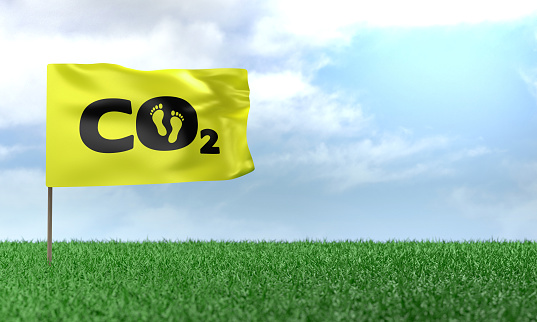 3D Render Carbon footprint symbol on flag on green grass. Sustainability and Environment concept.