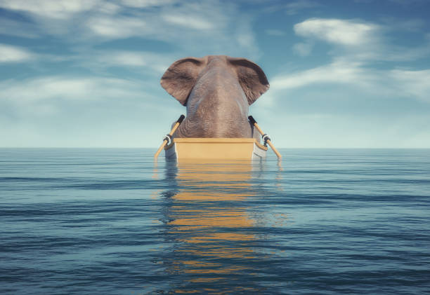 Elephant on a boat in the ocean.  This is a 3d render illustration.  Composites & CGIComputer composites, illustrations or CGI of animals in unnatural situations are acceptable.