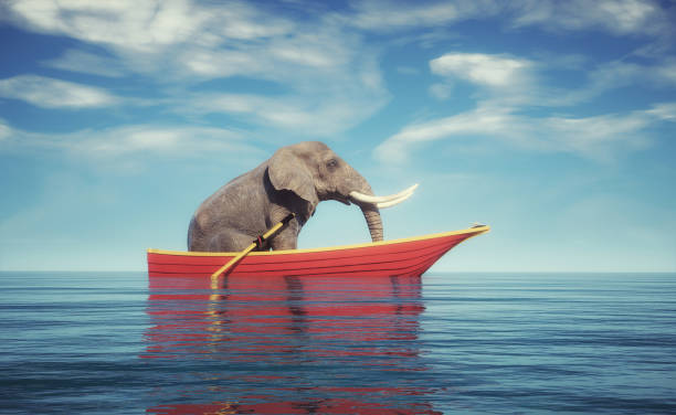 istock Elephant on a boat in the ocean.  This is a 3d render illustration.  Composites & CGI
Computer composites, illustrations or CGI of animals in unnatural situations are acceptable. 1351240910