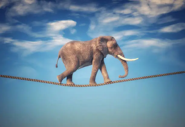 Elephant walking on a rope.  This is a 3d render illustration.   Composites & CGI
Computer composites, illustrations or CGI of animals in unnatural situations are acceptable.