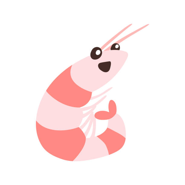 Funny character red shrimp or antarctic krill isolated on white background. Flat vector illustration Funny character red shrimp or antarctic krill isolated on white background. Flat vector illustration shrimp prepared shrimp prawn cartoon stock illustrations