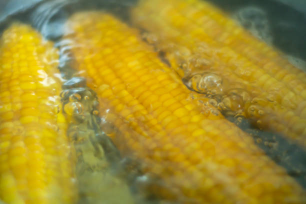A close up of a pot of boiling water with a single corn on the cob in it being held with tongs. Cooking on an IH cook top.