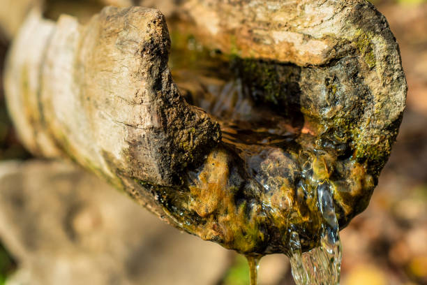istock Natural spring flowing from a cut tree trunk. Autumn landscape with refreshing natural water. 1351250199