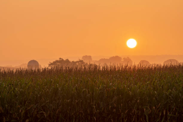 Sunrise on foggy morning at Amish Country, Lancaster, Pennsylvania, USA